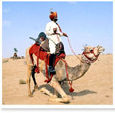 Bikaner  Travel Guide