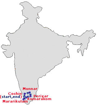 Green Heaven Holiday