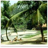 Kovalam Travel Guide