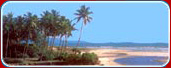 Magic of India Holidays