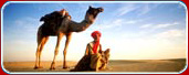 Royal Rajasthan Holiday