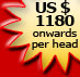US $ 1180