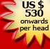 US $ 530