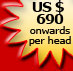 US $ 690