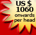 US $ 1060