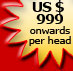 US $ 999