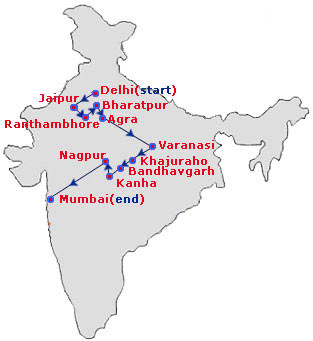 Tiger Country Holiday